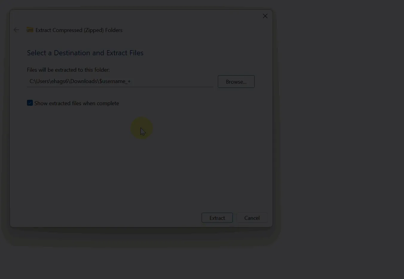 Extract folder