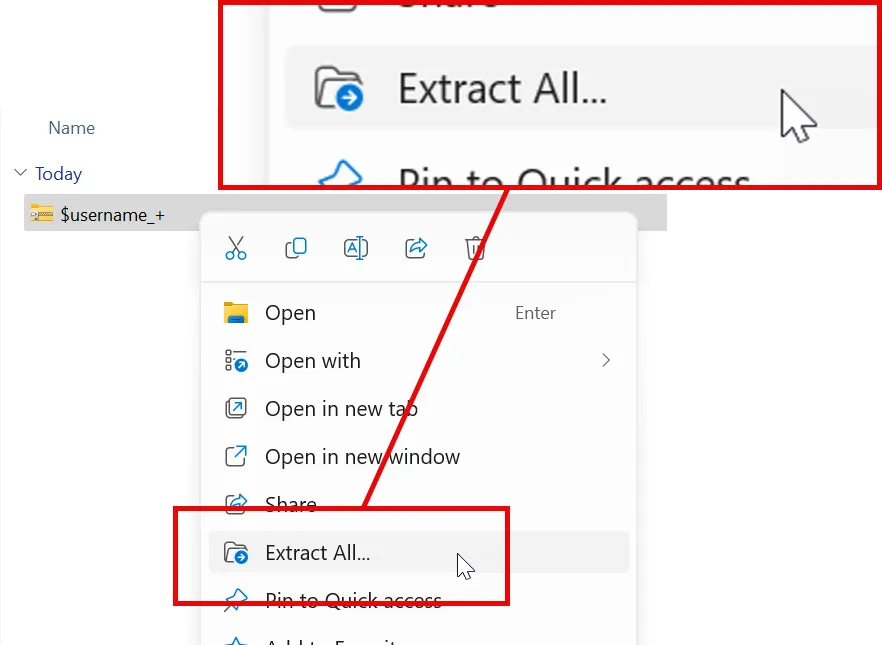 Extract zip