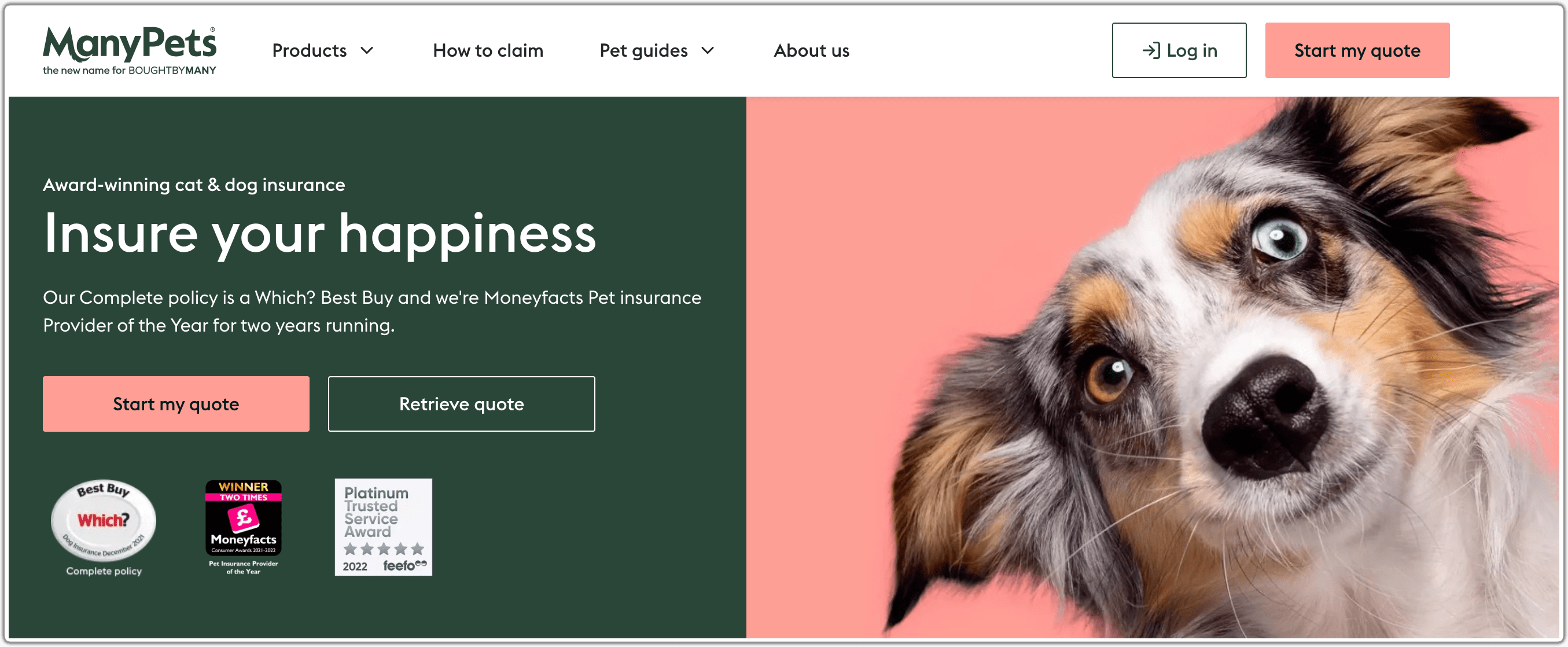 ManyPets hero section