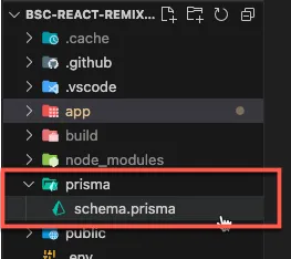 Prisma Schema Folder